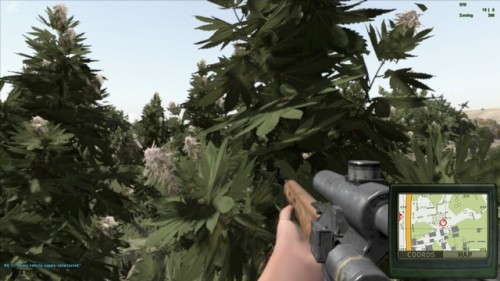 Ag and plants even make it into my gaming! V and I sometimes relax by cooperatively playing ARMA 2, 