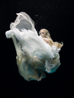 Gravisdulcisimmutabilis:  Download De Fotos Do Flickr: By Zena Holloway On We Heart