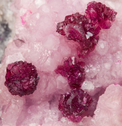 bijoux-et-mineraux:  Roselite-beta with Calcite - Oumlil Mine, Souss-Massa-Draâ Region, Morocco
