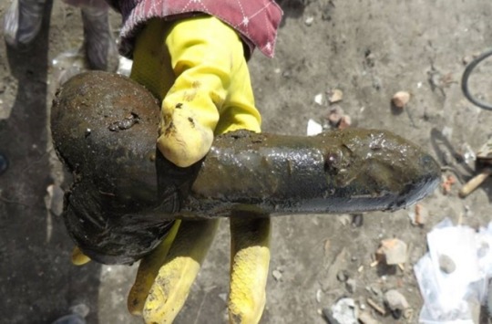 18th-Century Sex Toy Found In Ancient Latrine