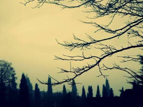 creatureofgloom: We’re born alone, we live alone, we die alone. Only through our love and frie