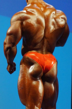 Roelly Winklaar - That is still one hell of an ass.