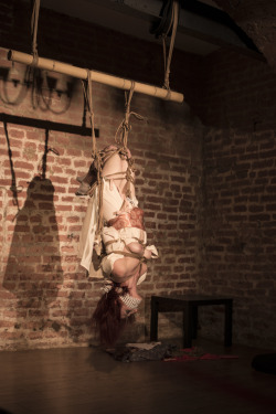 kinbakuluxuria:  Semenawa in Vienna. Rigger