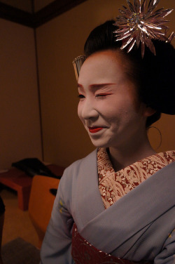 geisha-kai:  Maiko Fukumari with silver grass