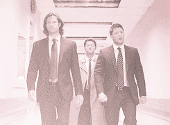  Expectations vs. Reality (Part 1: Misha Collins) 