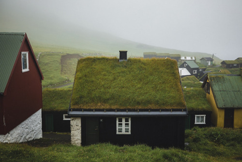 stephaniedolen:mykines, faroe islands