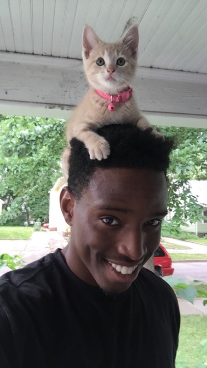 sleep-less-i-n-s-o-m-n-i-a-c:  karl-shakur:  Just wanted to let you guys know that I’m in a really good place. I’ve never been happier and content. Plus my friend just got a new kitty.  My life is complete  This is the quality content I joined this