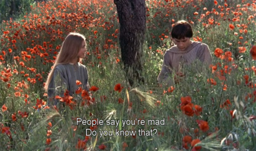 freshmoviequotes:Brother Sun, Sister Moon (1972)