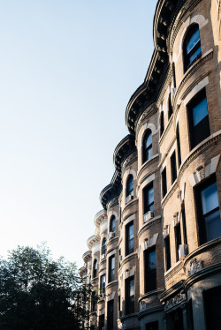 joelzimmer:  Brownstones  Park Slope, Brooklyn