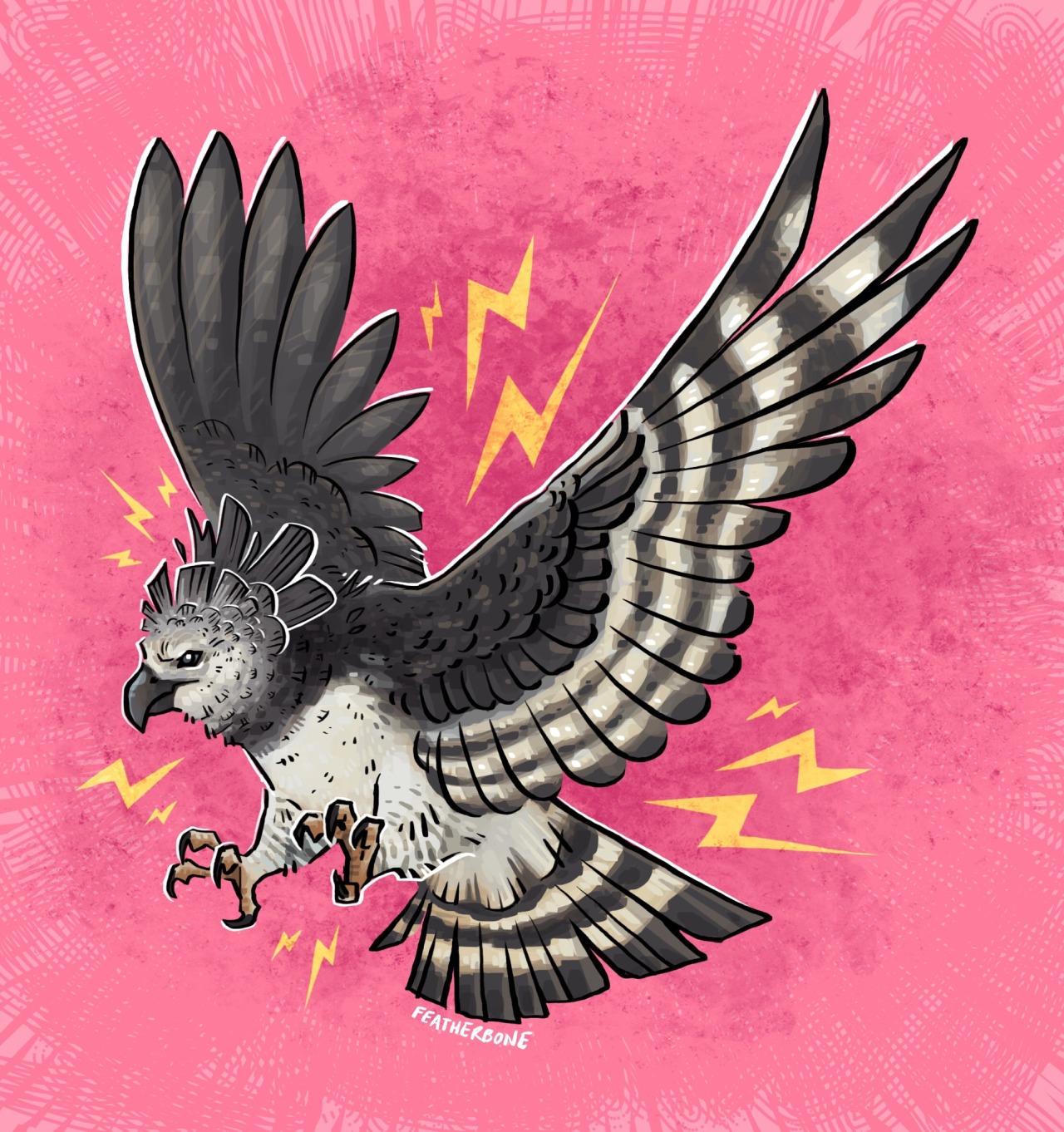 theorigamiphoenix — Harpy eagle! Big bad apex predator of the forest