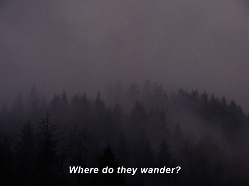 inthedarktrees:A dream soul that wanders.Sheryl Lee, Michael Horse, Kyle MacLachlan | Twin Peaks