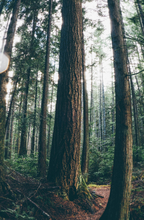 northwezt:  Bremerton, WA (Nov. 8, 2015)