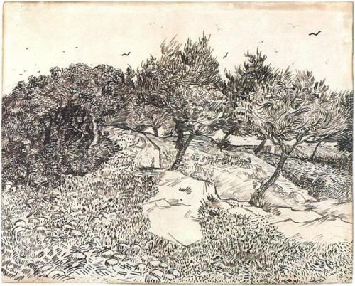 vincentvangogh-art:Olive Trees, 1888Vincent van Gogh