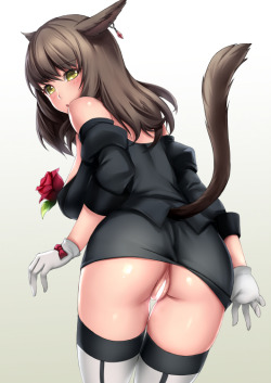 Neko Goodness