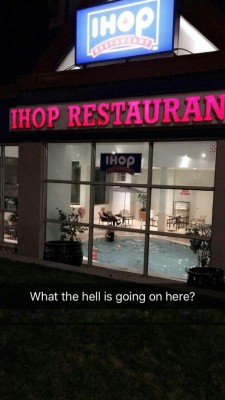 shiny-snover:  squigglydigg:  it’s ihop  International house of pools  