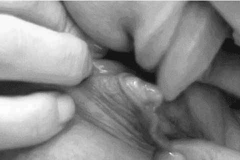 zofilplus:  http://www.zofil.tumblr.comhttp://www.zofilplus.tumblr.com