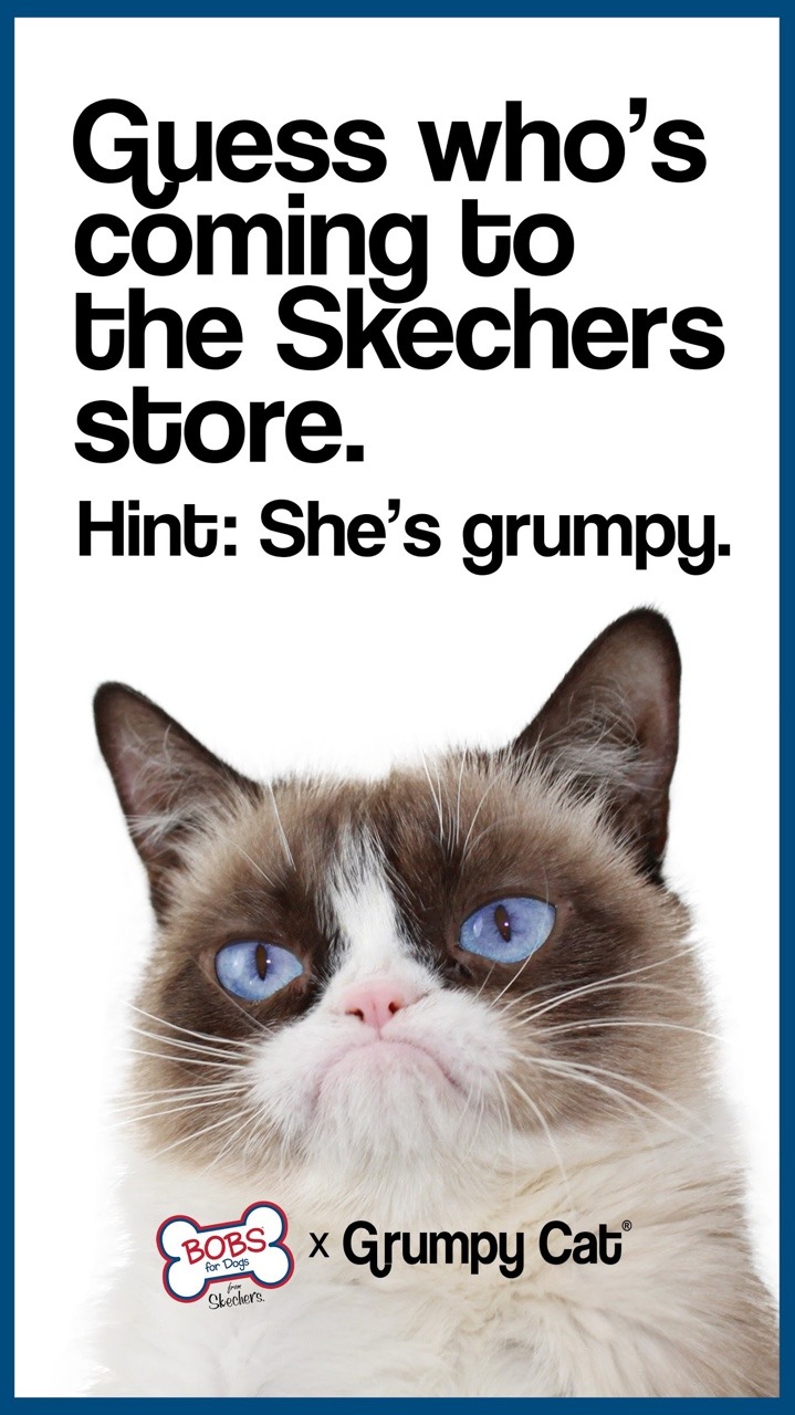 Meet Grumpy Cat! Put on a frown and come down to the #Skechers store at the Third Street Promenade in Santa Monica on Friday,...