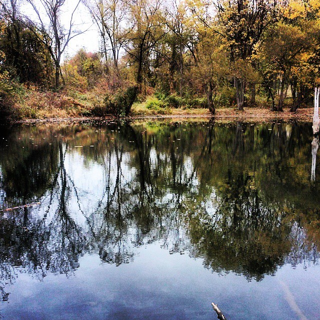 stoner-vogue:Reflect on life’s most beautiful moments. (reasons i love fall and
