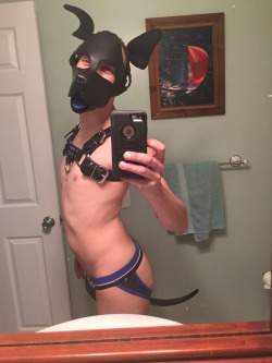 puppyaero:  Decided to have some pup time