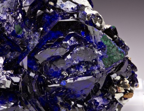 mineralia: Azurite from Mexico by Dan Weinrich