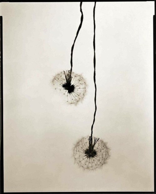 pensieriparoleopereeomissioni:Ryuji Taira©️
