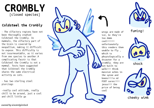 pangur-and-grim:  ALRIGHT, here are all the Cromblies purchased this evening! 