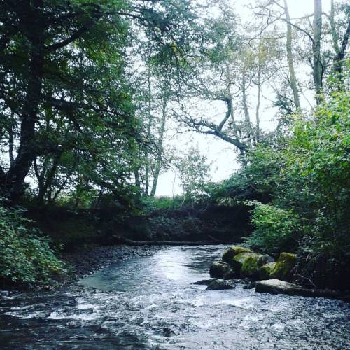 Bryngarw Country Park, October 2016