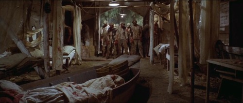 ozu-teapot:Zombie Flesh Eaters (AKA Zombi 2) | Lucio Fulci | 1979Also AKA Zombie…