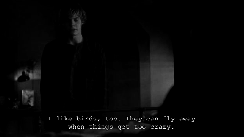 Blood Stains, Pain, and Maybe a Bit Insane