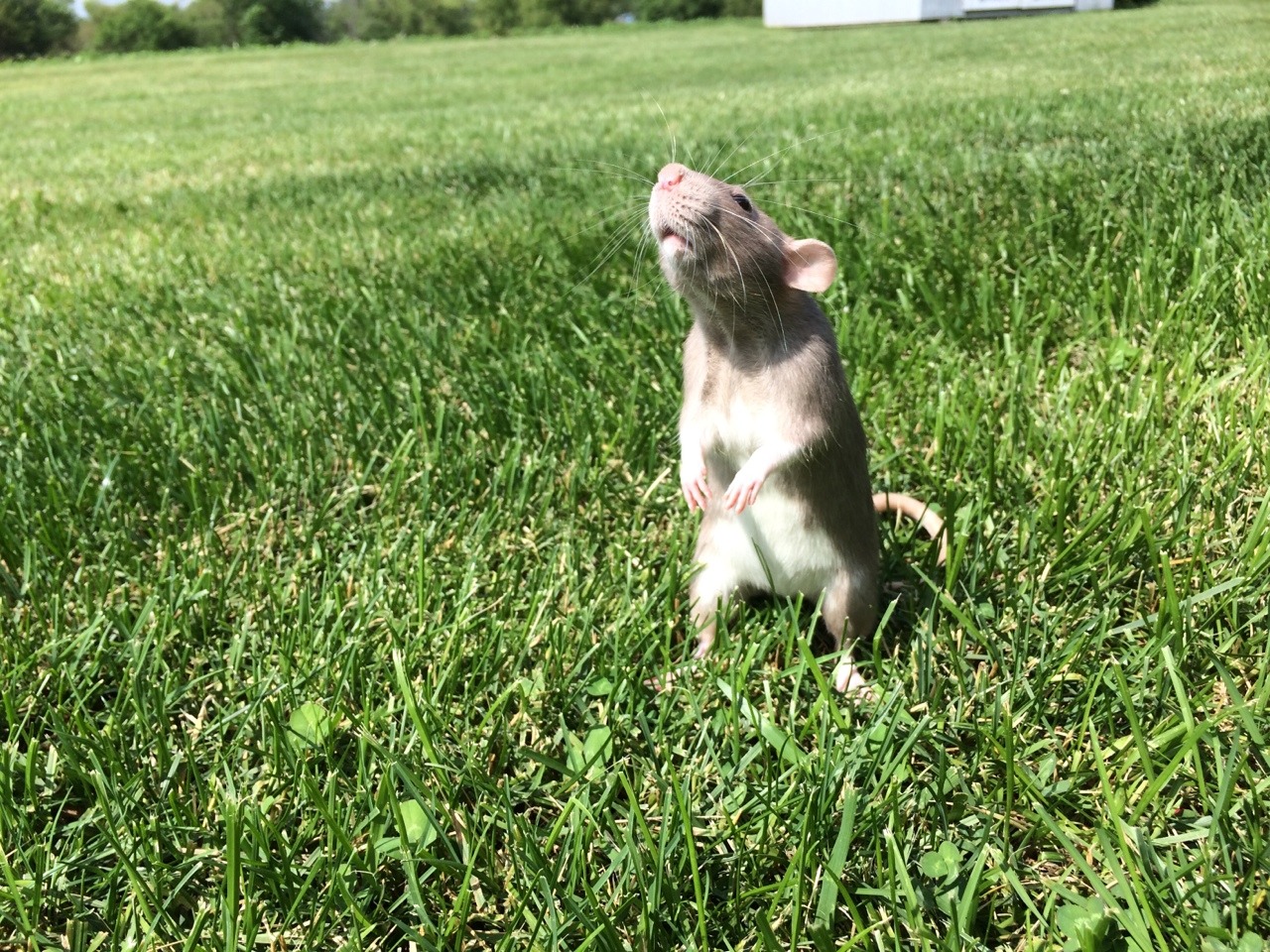 3rdgod:  she loves being outside
