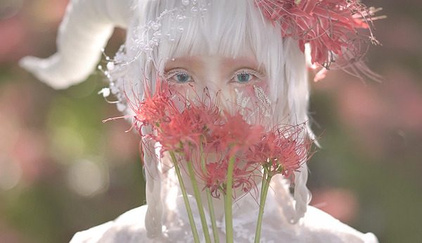 kitteii:  もず   ❀   【創作】「 想うのは あなた一人 」 PhotoByいさこ氏(@isak02)