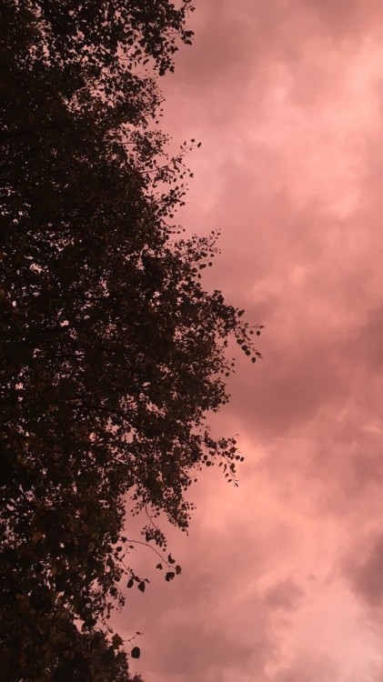 temporary:  two parts to one whole, me + you   | instagram   