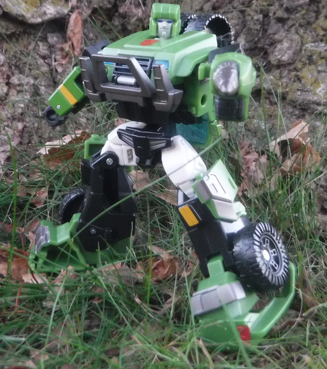 austinstoyblog: Hound