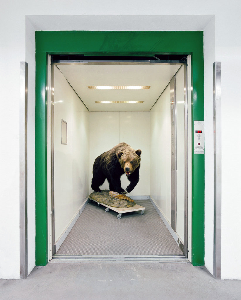 likeafieldmouse:  Klaus Pichler - Skeletons in the Closet: Museum of Natural History,
