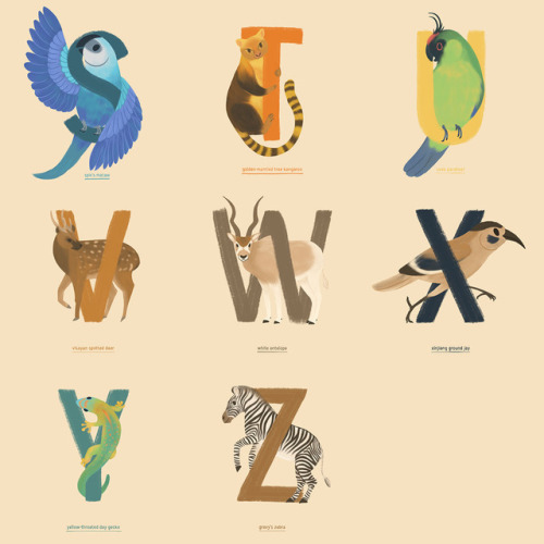 The full animal alphabet! ✨Which letters are your favourite? I really love the S, L, P, and N 