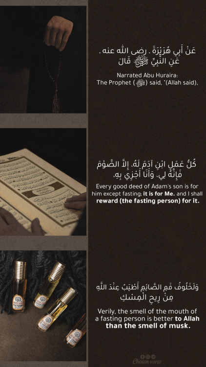 Quran & Hadith