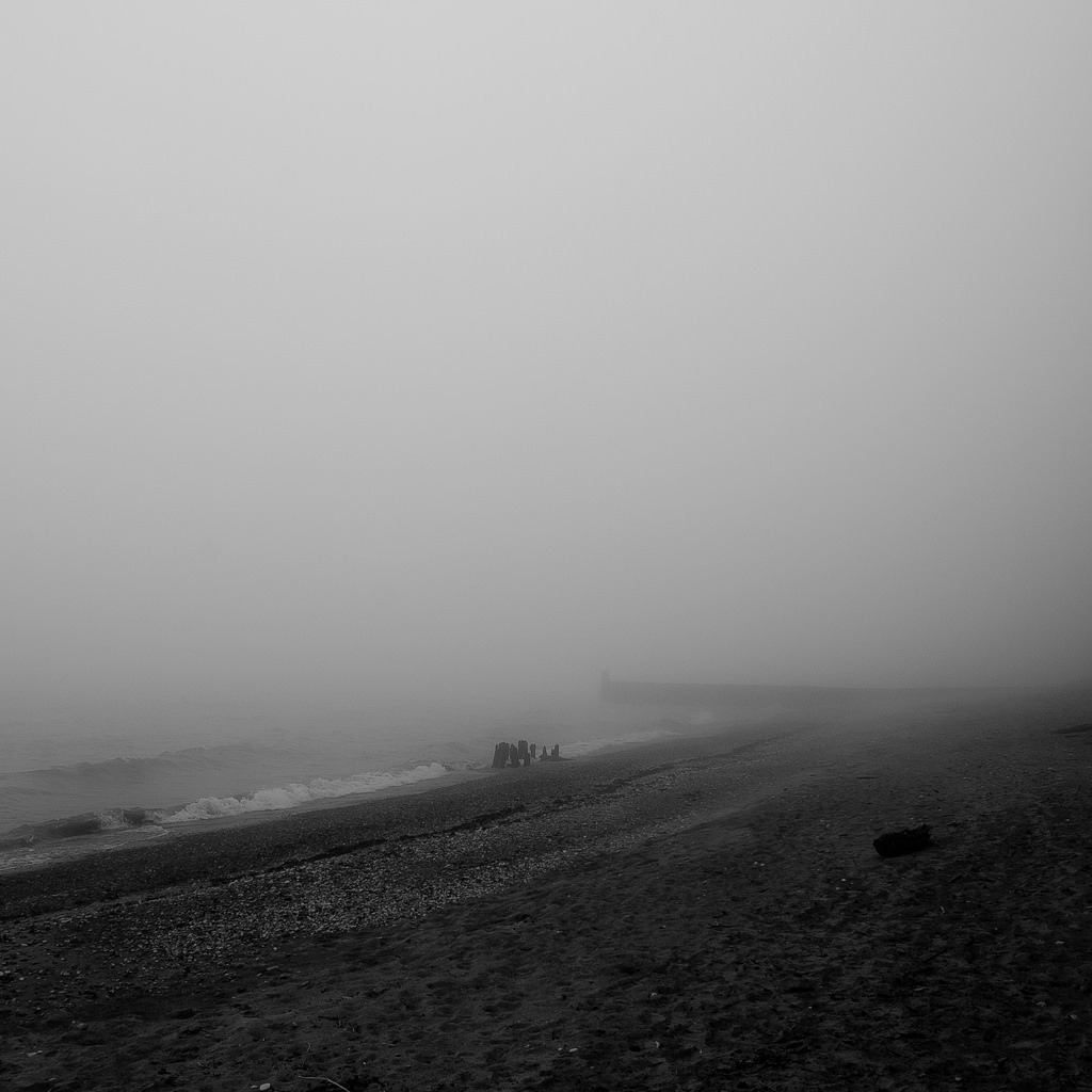 cerceos:Noah Weiner Lakeside Fog, 2014