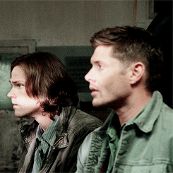sweatermisha:  imagine canon sassy bisexual dean pissing someone off and his reaction