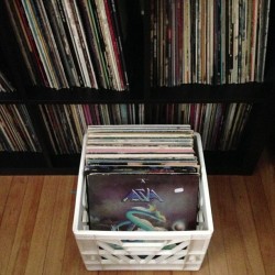 nowxspinning:  Unloved and weeded out ///