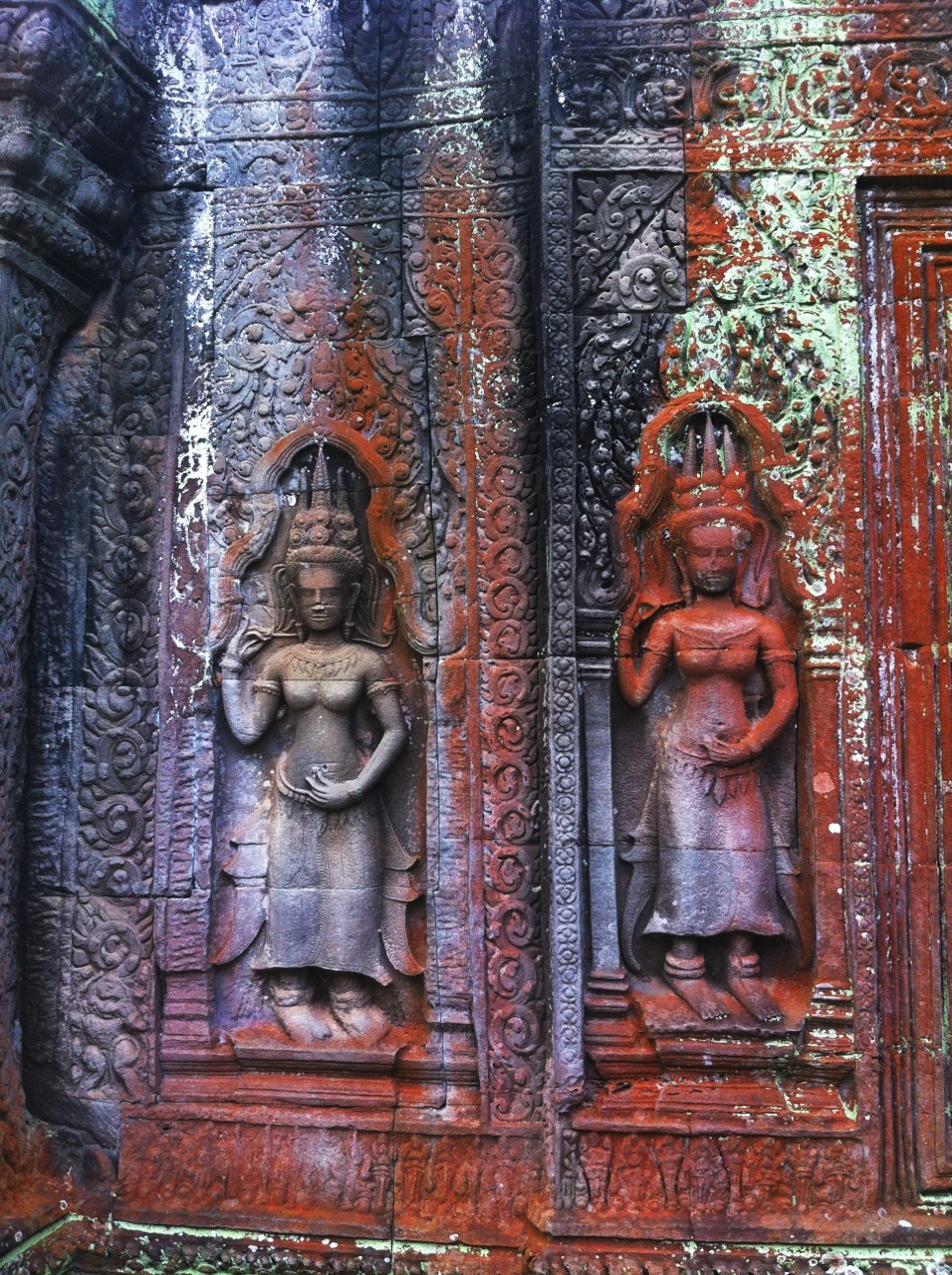 Angkor Wat and Ta Prohm temples