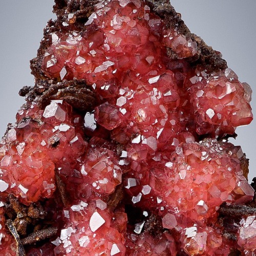 Rhodochrosite on Manganese &amp; Iron MatrixLocality: NChwaning I Mine, Kuruman, North Cape Prov