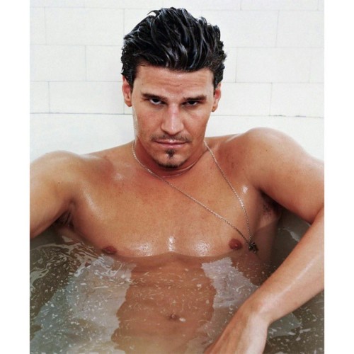 tattooedtealady:  17 years and counting I’ve had a crush on this man 😍😍😍😍😍😍 One day Boreanaz, one day…..  erikorti