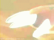 fanboyofallthings:  Biomerge/Matrix Evolution 