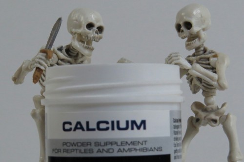 doubledealer93:  Remember dont do drugs kids. They are skeletons and need calcium. So its ok for them to snort it.