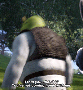 chronicallysickchick:wordshappensometimes:martymcfly:THE WITCHER (2019– ) I SHREK (2001)Freya Allan 