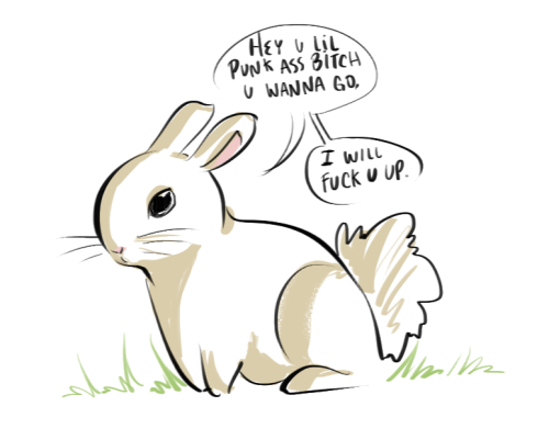 ask-decayed-loyalty: HEY THIS REMINDED ME OF A VERY CERTAIN RABBIT GUESS WHICH ONE :D ?