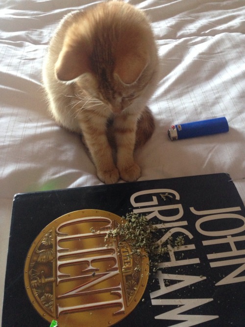 he’s so curious