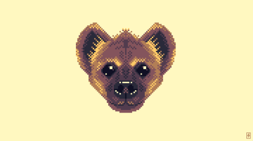 981. Hyena