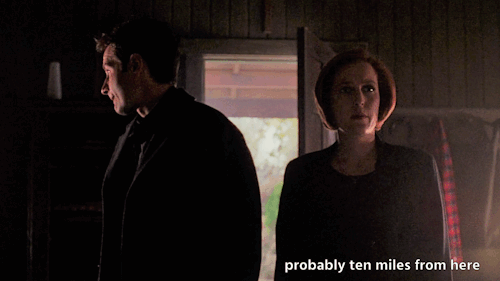 we-mad-guys:world-renowned deadpan comedian dana scully with her biggest fan