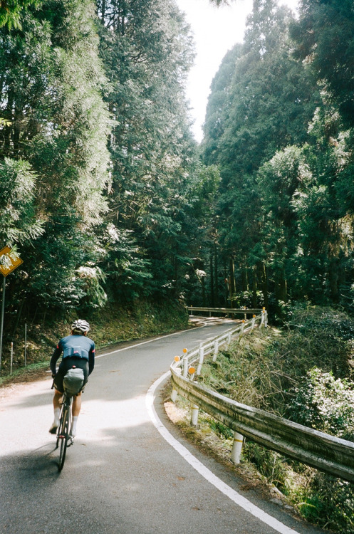 On our way to Nara,April 2017